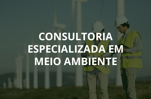 Consultoria Especializada em Meio Ambiente